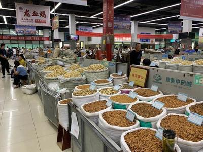 中部崛起势正劲 安徽亳州如何“抓一把中药，服下一帖骄傲”？——从传统药都到现代商品批发贸易中心的转型之路