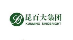 昆百大A与商品批发贸易的协同发展分析